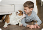 The Scientific Reason to Give a Child the Dog they’re Begging for